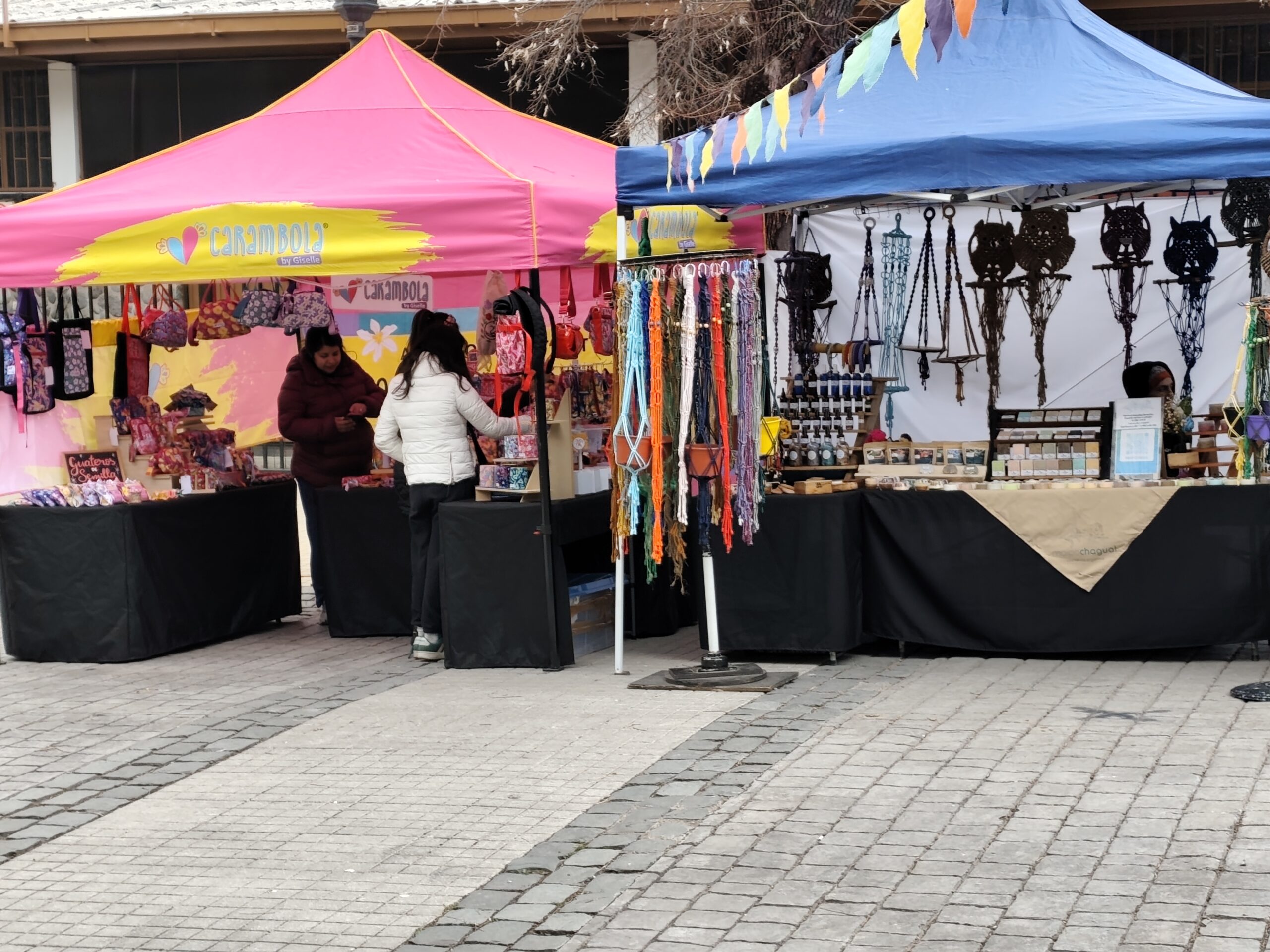 La actividad se realizó en la Plaza de San José de Maipo 